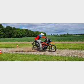 Level 1 - alle datoer depositum